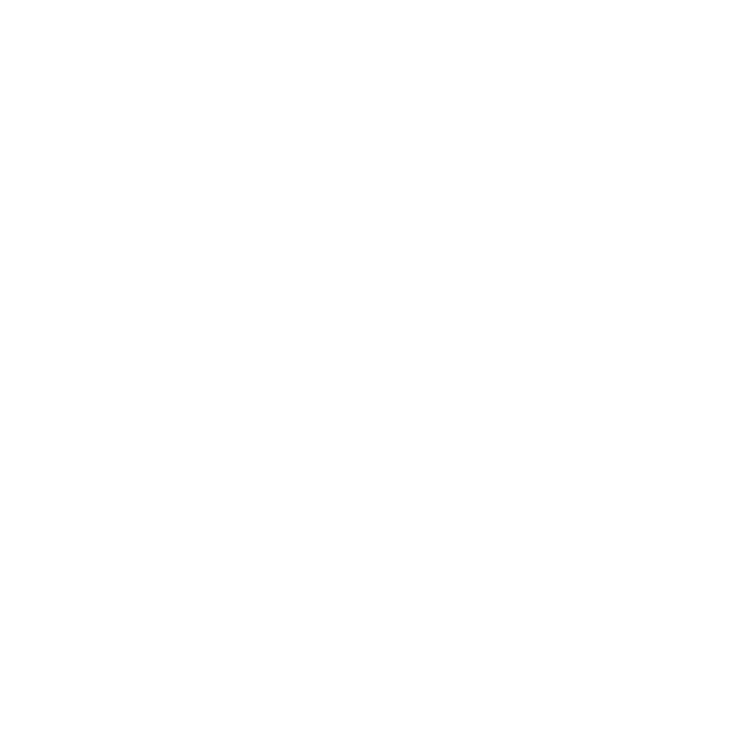 Established University